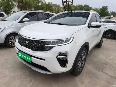 2019 Kia KX5 1.6T Automatic 2WD Luxury Edition, фото 1, лот 10338473