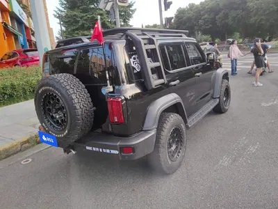 2021 Tank 300 Off-road Version 2.0T Conqueror, фото 3, лот 11217276