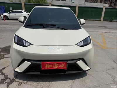 2024 BYD Seagull Glory Edition 305km Vitality Edition, фото 1, лот 10248171