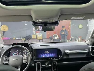2024 Haval Big Dog 2.0T DCT Chinese Rural Dog Edition, фото 4, лот 10361792