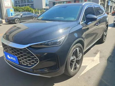 2024 BYD Tang New Energy DM-i Glory Edition 112KM Deluxe, фото 1, лот 10768233