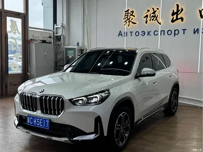 2023 BMW X1 sDrive20Li X Design Package, фото 1, лот 10466368