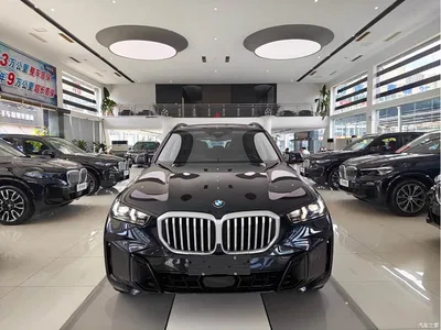 2023 BMW X5 xDrive 30Li Premium M Sport Package, фото 2, лот 10462669