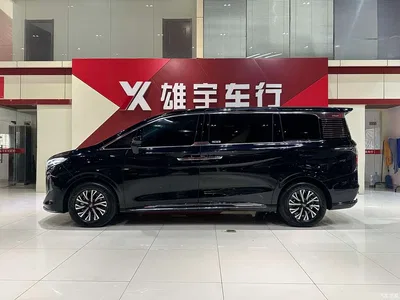 2024 Hongqi HQ9 PHEV Model 2.0T AWD Business Edition, фото 3, лот 10288422