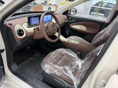 2025 Wuling Motors Wuling Bingo Model 333km Joy Edition, фото 4, лот 10367019