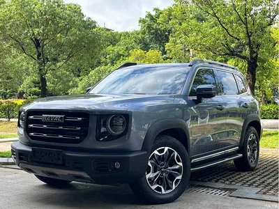 2021 Haval Big Dog 2.0T DCT AWD Howling Celestial Dog Edition, фото 1, лот 10361693