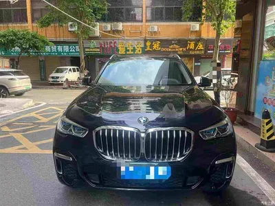 2022 BMW X5 xDrive 30Li Premium M Sport Package, фото 2, лот 11131999