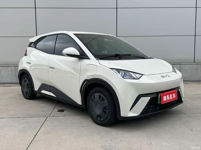 2024 BYD Seagull Glory Edition 305km Vitality Edition, фото 3, лот 10254812
