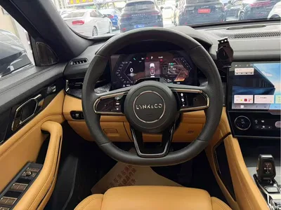 2021 Lynk & Co 09 EM-P 2.0T PHEV Halo 6-seater, фото 4, лот 11179634