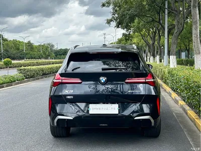 2025 BMW X3 xDrive30L Leading M Sport Package, фото 4, лот 10431645