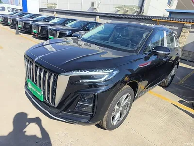 2025 Hongqi HS3 PHEV 125km Jingwei 2 Million Commemorative Edition, фото 2, лот 10360565