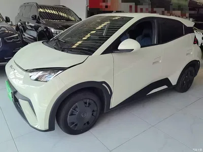 2024 BYD Seagull Glory Edition 305km Vitality Edition, фото 1, лот 10262889
