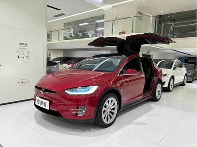 2019 Tesla Model X Long Range Version, фото 1, лот 10451969