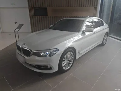 2019 BMW 5 Series 530Li Leading Luxury Package, фото 2, лот 11247920