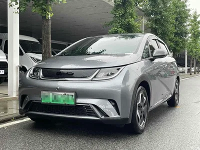 2021 BYD Dolphin Model 405km Fashion Edition, фото 1, лот 10383355