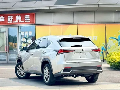 2020 Lexus NX 200 AWD F Sport China VI, фото 3, лот 10313295