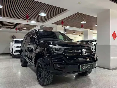 2024 Tank 400 New Energy Hi4-T Off-Road Edition, фото 3, лот 10344953