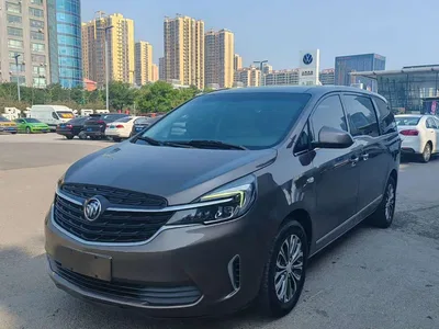 2021 Buick GL8 Land Business Class 652T Luxury, фото 1, лот 11535179