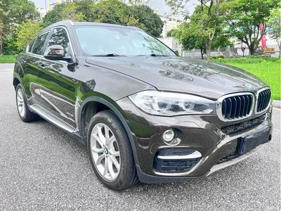 2015 BMW X6 xDrive35i Leading Type, фото 3, лот 10469169