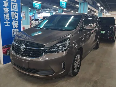 2021 Buick GL8 Land Business Class 652T Comfort, фото 1, лот 10250286