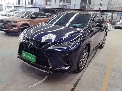 2020 Lexus RX 300 AWD F SPORT (China VI), фото 2, лот 10319228