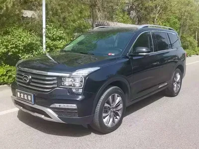 2019 GAC Trumpchi Trumpchi GS8 390T 2WD Luxury Smart Connect Edition (7-seater), фото 1, лот 11535058