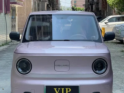 2023 Geely Galaxy Panda Mini 200km Endurance Bear, фото 2, лот 11218296