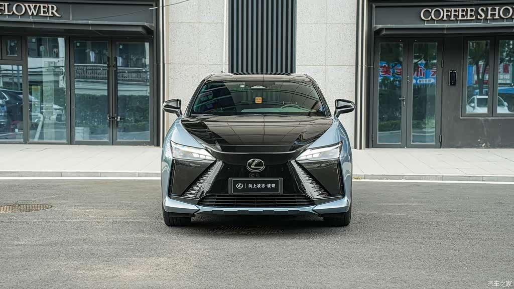 2023 Lexus RZ 450e 4WD Deluxe, фото 2, лот 11216514