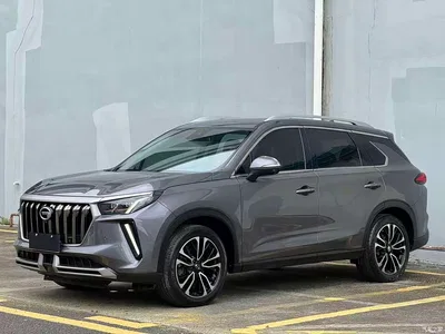 2021 GAC Trumpchi Trumpchi GS4 PLUS 390T Automatic Stellar Edition, фото 1, лот 10414732