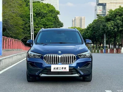 2020 BMW X1 sDrive25Li Leading Model, фото 2, лот 10465141