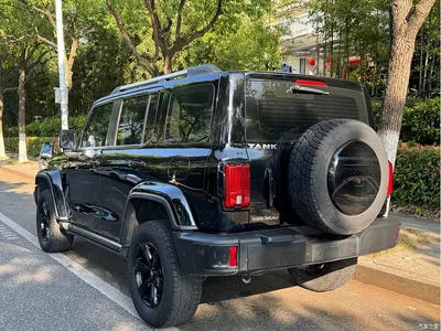 2021 Tank 300 Urban Edition 2.0T Stylish, фото 4, лот 10346474