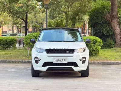 2019 Land Rover Discovery Sport 240PS SE Dynamic Edition China VI, фото 2, лот 10446563