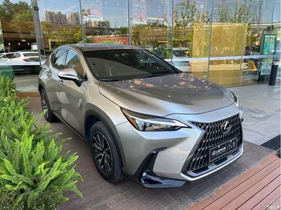2022 Lexus NX 350h FWD Joy Creation Edition, фото 3, лот 10314840