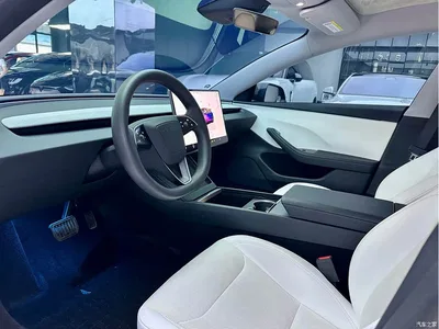 2023 Tesla Model 3 Rear-Wheel Drive, фото 4, лот 10355548