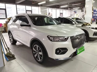 2021 Haval H6 1.5GDIT Automatic Champion Edition, фото 4, лот 11448454