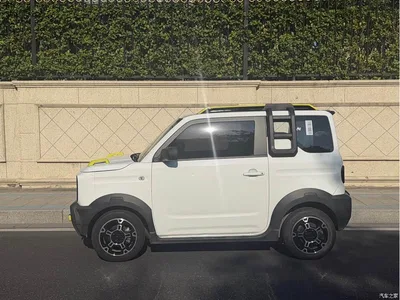 2024 Geely Galaxy Panda 200km Panda Knight, фото 3, лот 10429631