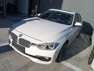 2019 BMW 3 Series 320Li Fashion Type, фото 2, лот 10457535