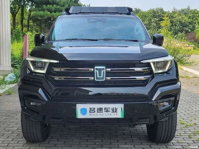 2024 Tank 400 New Energy Hi4-T Off-Road Edition, фото 3, лот 10345251