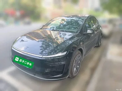 2025 Tesla Model Y L, фото 1, лот 11184215