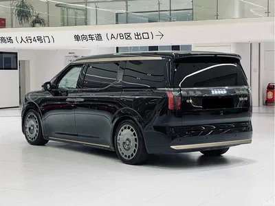 2024 ZEEKR 009 Brilliance Collector's Edition, фото 3, лот 10291158
