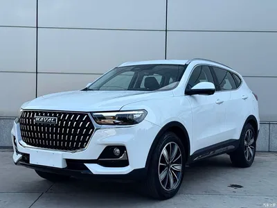 2023 Haval H6 National Trend Edition 1.5T Automatic Champion, фото 1, лот 10300952
