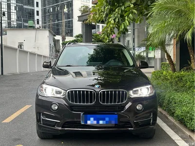 2017 BMW X5 (Import) xDrive28i, фото 2, лот 10409048