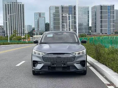 2021 Ford Mustang Mach-E Boundless RWD Luxury (Long Range), фото 2, лот 10293465