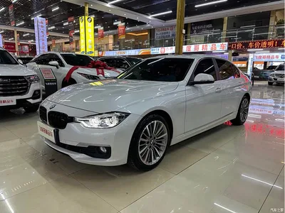2019 BMW 3 Series 320Li Fashion Type, фото 1, лот 11521775