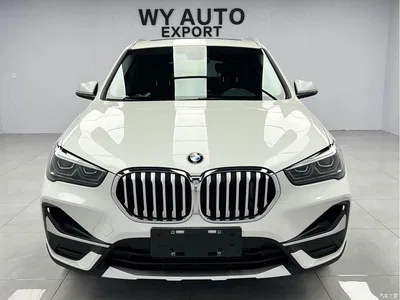 2022 BMW X1 sDrive20Li Premium, фото 2, лот 10466933