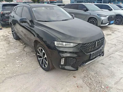 2019 WEY VV7 Upgrade 2.0T Super Deluxe China V, фото 3, лот 10451861