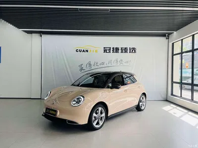2022 Ora Good Cat Model Morandi Edition 400km Standard Range Premium LFP, фото 1, лот 10330546