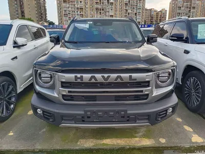 2024 Haval Big Dog 1.5T DCT Border Collie Edition, фото 2, лот 10361690