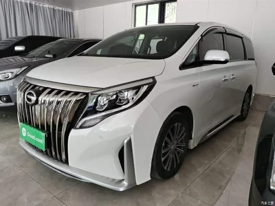 2021 GAC Trumpchi Trumpchi M8 Master Series 390T Prestige Edition, фото 1, лот 10425410