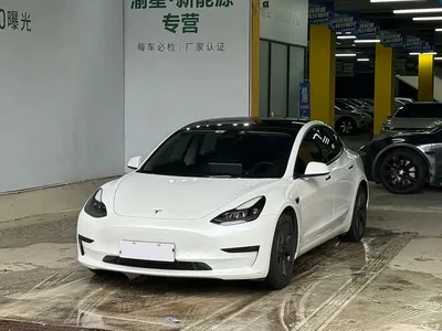 2021 Tesla Model 3 Standard Range Rear-Wheel Drive Upgrade, фото 1, лот 10361907